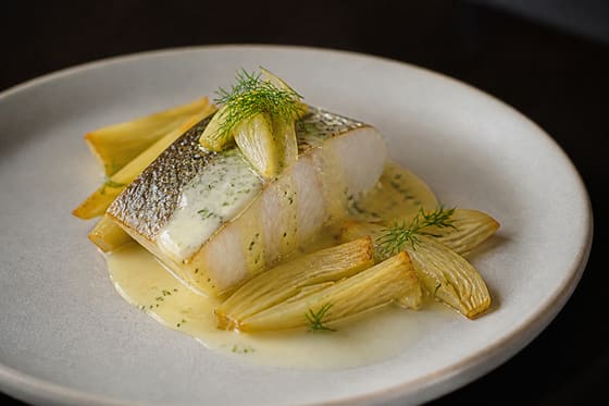 Turbot